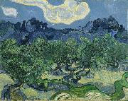 Vincent Van Gogh The Olive Trees Sweden oil painting artist
